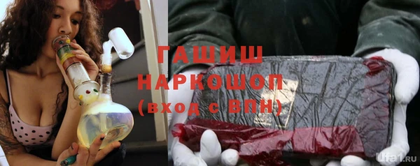 стаф Богданович