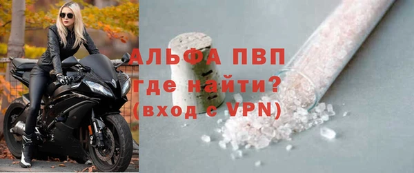 стаф Богданович