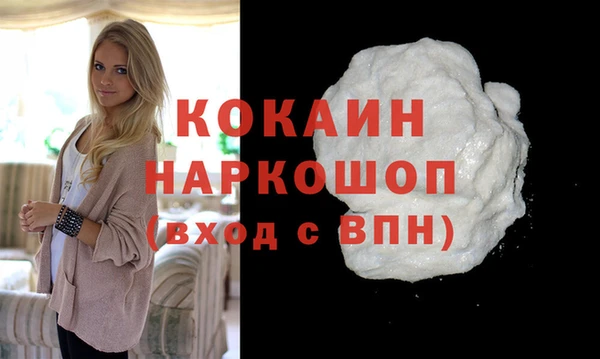 стаф Богданович