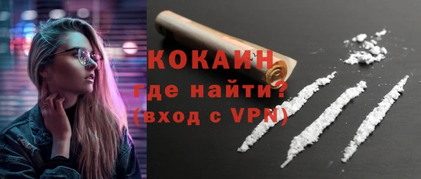 стаф Богданович