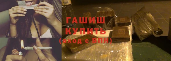 стаф Богданович