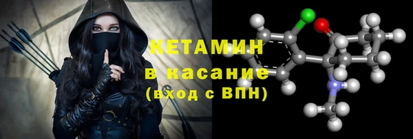стаф Богданович