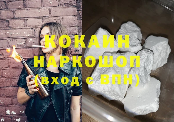 стаф Богданович