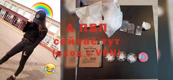 стаф Богданович