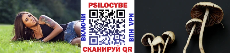 Галлюциногенные грибы мухоморы  Липецк 